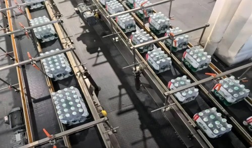 Case  conveyor  system